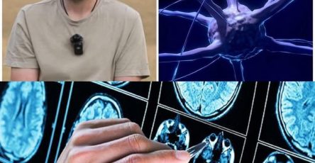 « J’ai contracté la maladie d’Alzheimer à 41 ans, tout a commencé quand mon… Plus… »