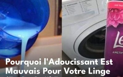 Pourquoi l’Adoucissant Est Mauvais Pour Votre Linge (Et Ce Qu’il Faut Mettre à la Place).