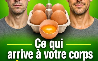 J’ai mangé un œuf tous les jours pendant un mois – voici ce qui est arrivé à ma santé !