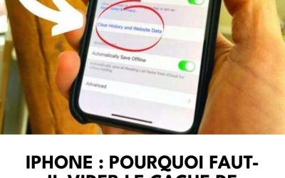iPhone : Pourquoi Faut-il Vider le Cache de Safari Régulièrement ?