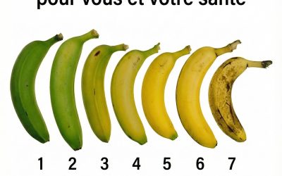 Savez-vous laquelle de ces sept bananes est la meilleure pour vous et votre santé