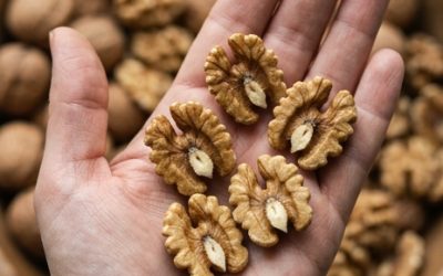 Des médecins révèlent que la consommation de noix provoque ceci