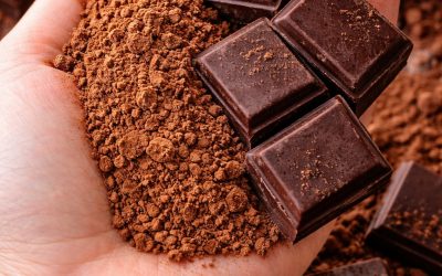 Bienfaits scientifiquement prouvés pour la santé de la poudre de cacao et du chocolat noir