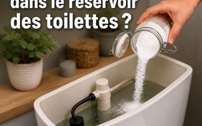 Ne tirez jamais la chasse d’eau après avoir uriné. C’est une grave erreur