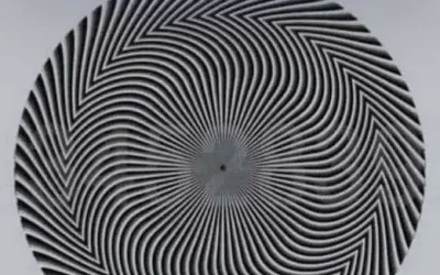 Découvrez le mystère caché derrière cette illusion visuelle intrigante