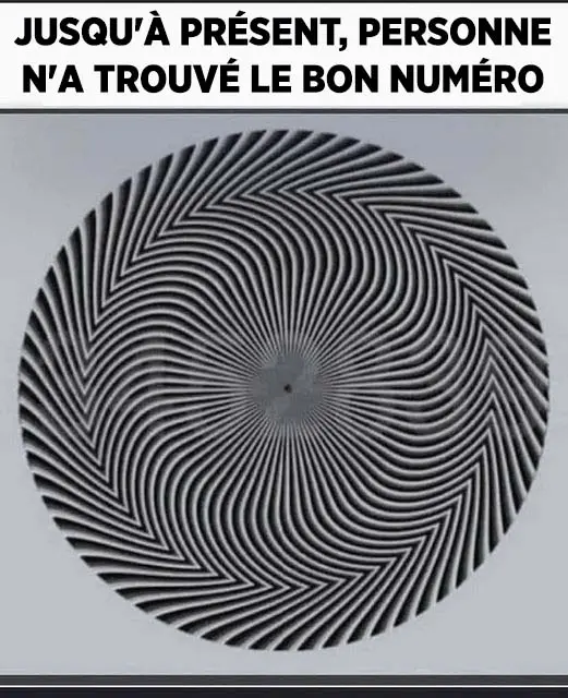 Découvrez le mystère caché derrière cette illusion visuelle intrigante