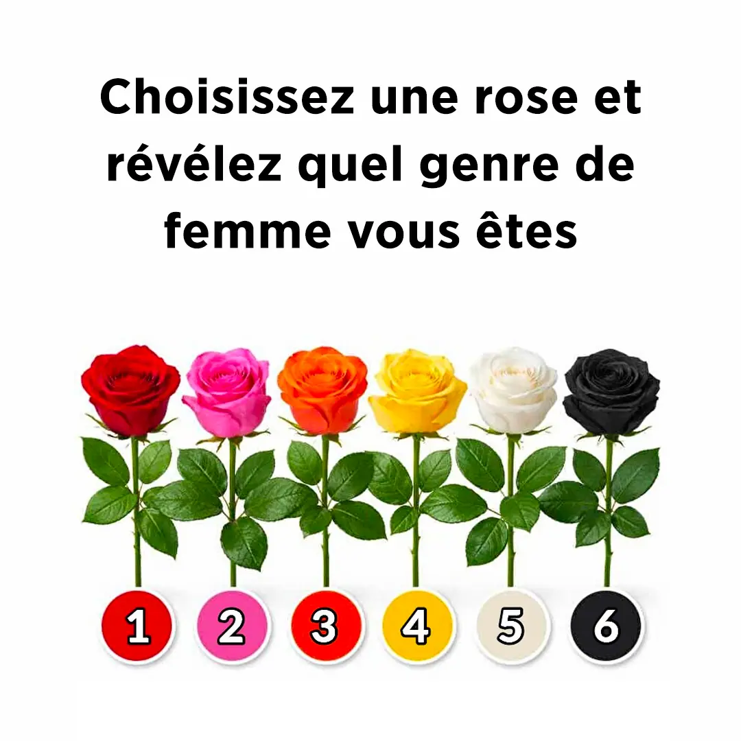 Choisissez une rose et révélez quel genre de femme vous êtes