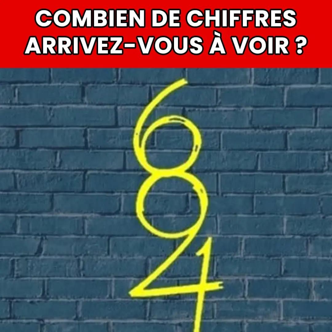 Saurez-vous déchiffrer tous les chiffres cachés dans cette illusion d’optique ?
