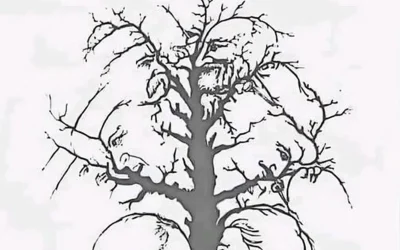 Combien de visages voyez-vous dans cet arbre ?