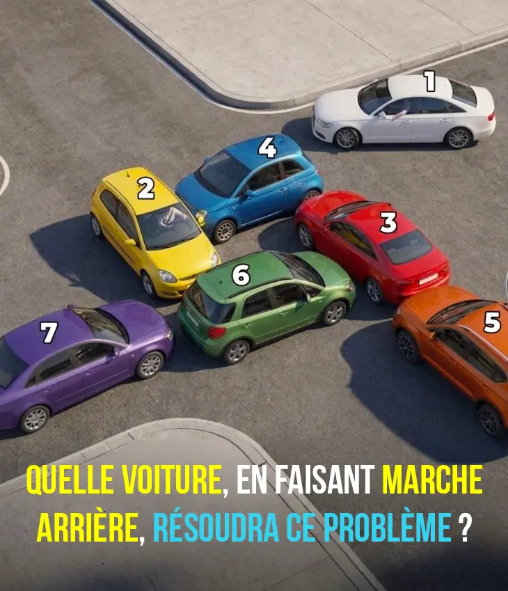 Quelle voiture, mise en marche arrière, résoudra cet embouteillage ?