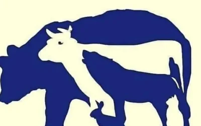 Défi visuel : repérez les 10 créatures cachées dans ce dessin !