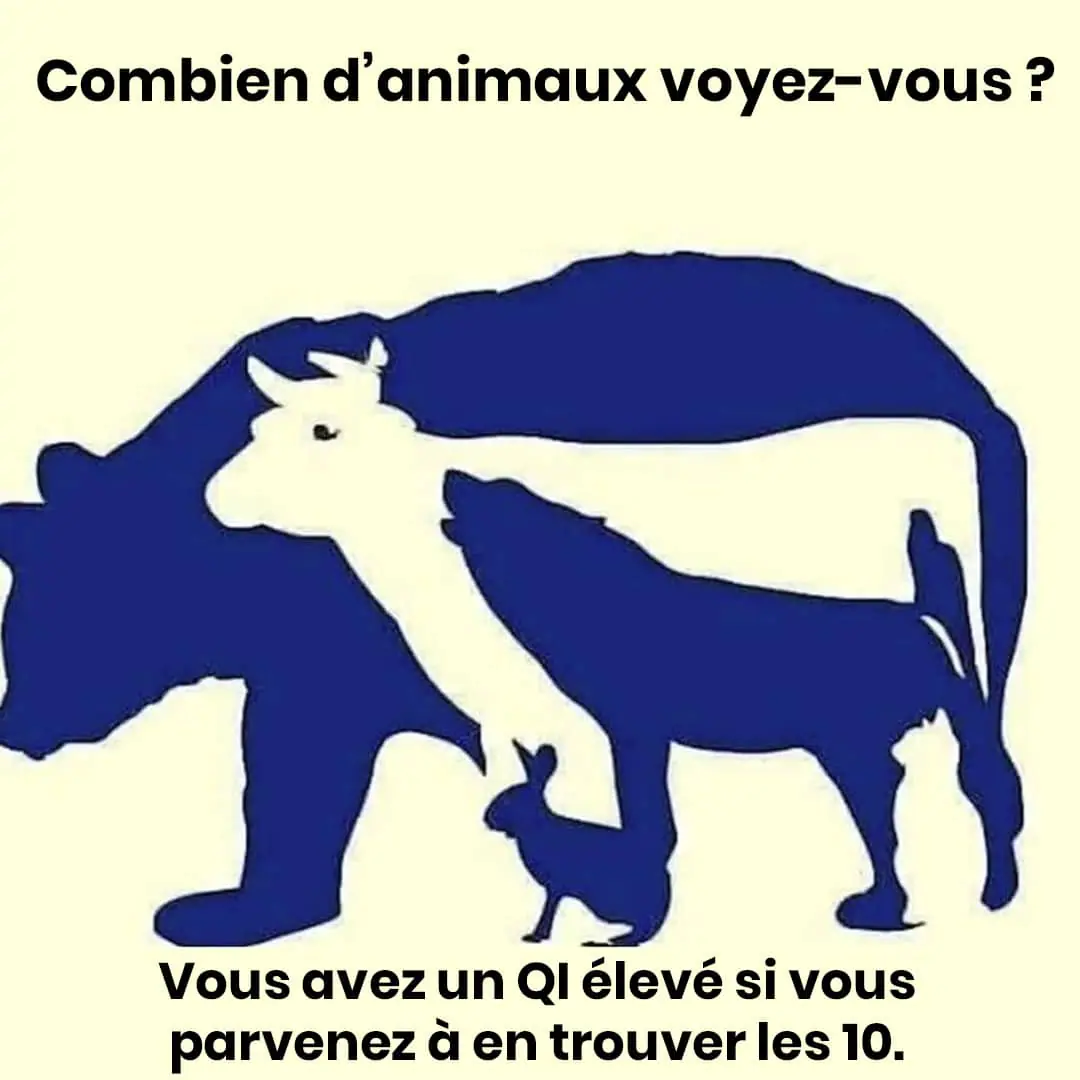 Défi visuel : repérez les 10 créatures cachées dans ce dessin !