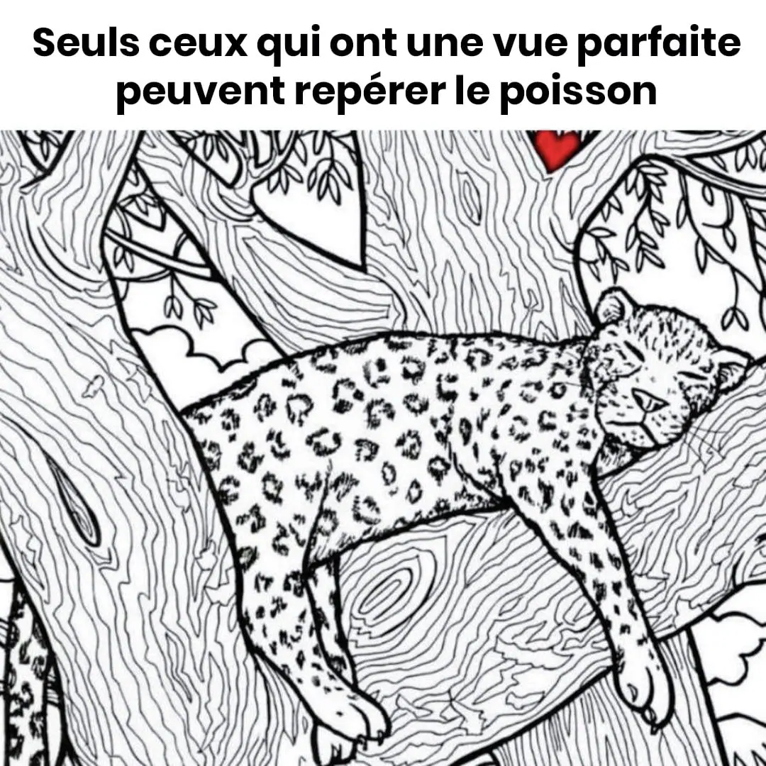 Un défi pour les yeux d’aigle : saurez-vous dénicher le poisson caché ?