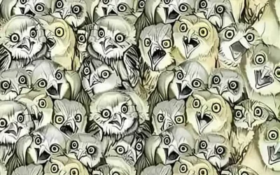 Seuls les plus observateurs trouveront le chat