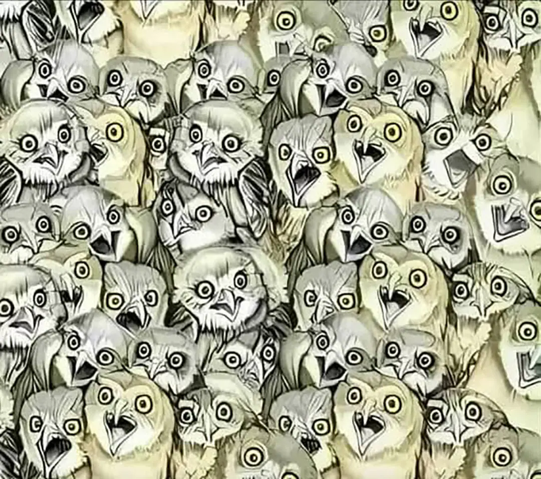 Seuls les plus observateurs trouveront le chat