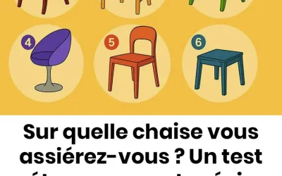 Sur quelle chaise vous assiérez-vous ? Un test étonnamment précis de votre personnalité