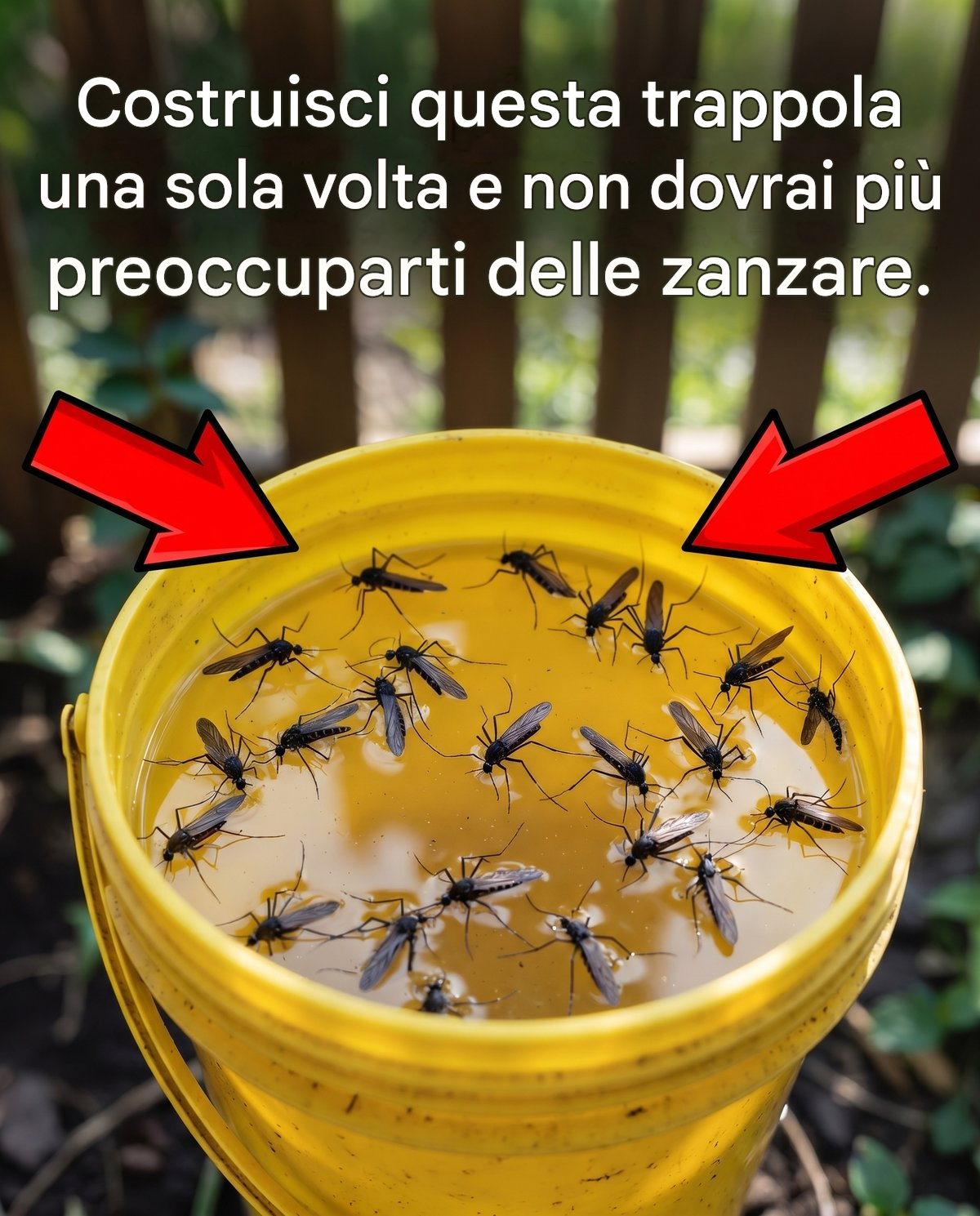 Construisez ce piège une fois pour toutes et vous n’aurez plus jamais à vous soucier des moustiques.