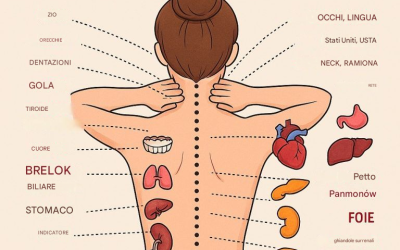 La véritable cause de la douleur : comment la colonne vertébrale est reliée à tous les organes…