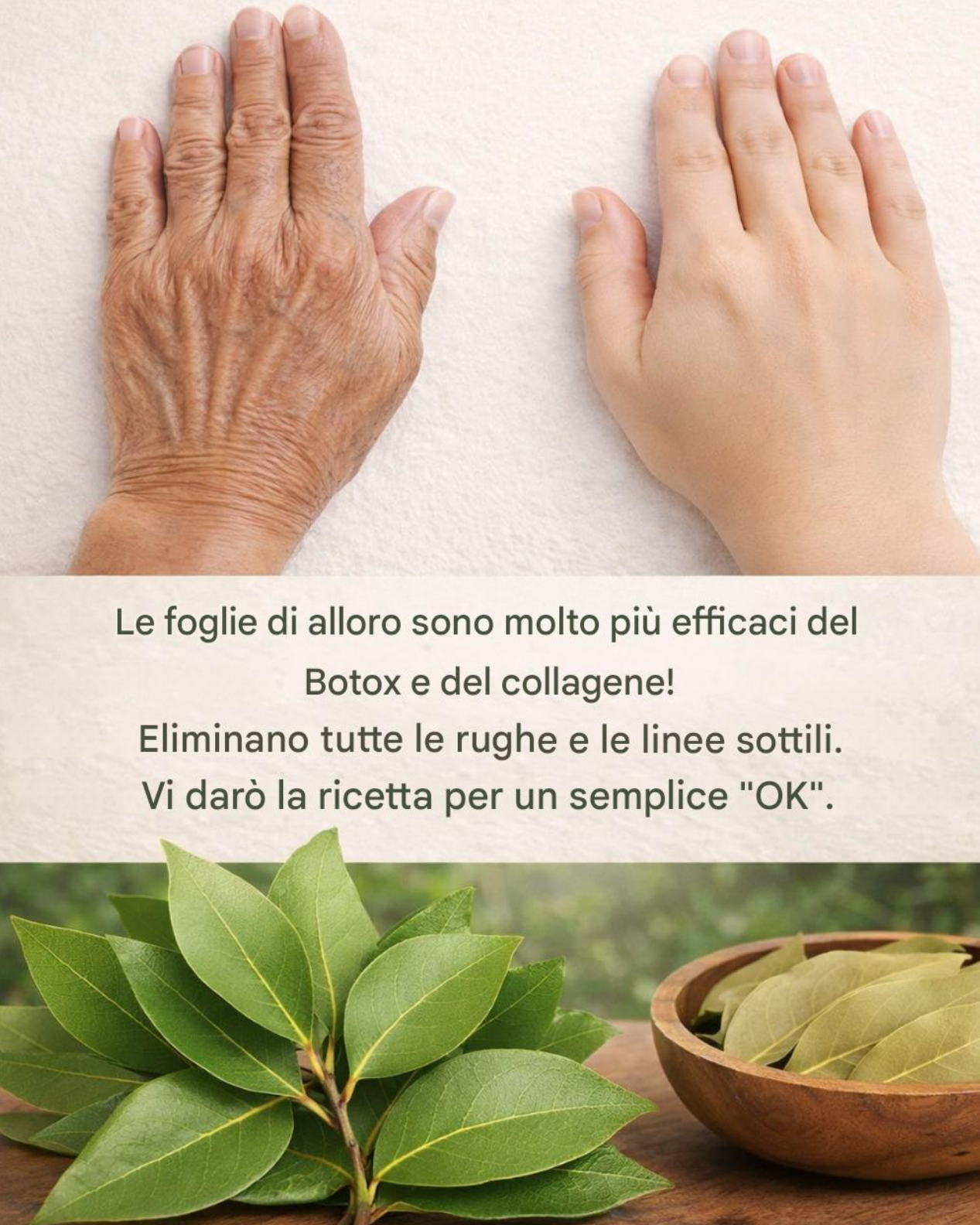 La feuille de laurier : le secret de la nature pour une peau jeune et sans rides !