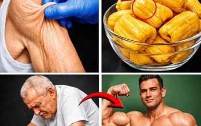 5 fruits pour maintenir sa masse musculaire après 75 ans, à associer à des protéines pour des journées plus énergiques.