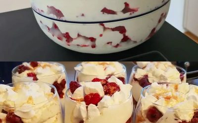 Neige glacée préparée avec 250 g de fromage blanc allégé, en 3 minutes