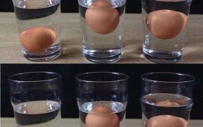 5 façons de savoir si un œuf est frais ou pourri