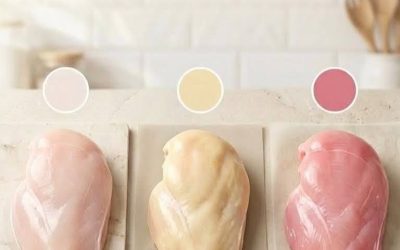 La vérité sur la couleur du poulet et ce qu’elle révèle sur sa qualité
