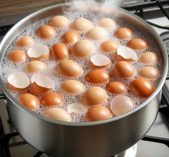 Faire bouillir des coquilles d’œufs pour divers usages