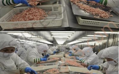 8 fødevarer i Kina, der ikke længere kan spises