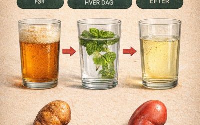 De 10 lits superdrikke, un étudiant attend jusqu’à ce que les aliments soient absorbés et réducteurs de protéines.