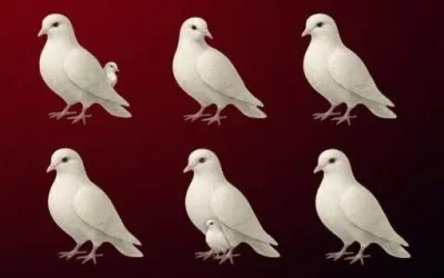Le nombre de colombes que vous voyez révèle qui marche à vos côtés.