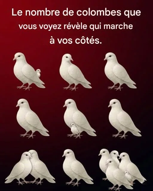 Le nombre de colombes que vous voyez révèle qui marche à vos côtés.