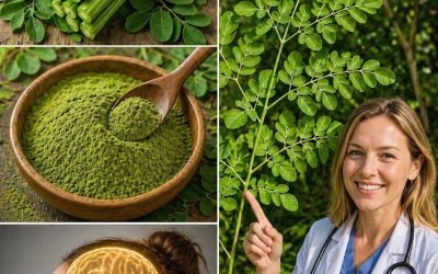 Le pouvoir caché du moringa — la merveille la plus sous-estimée de la nature