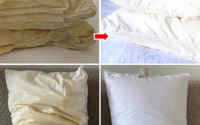 Comment laver et désinfecter soigneusement les oreillers pour leur redonner un aspect neuf.