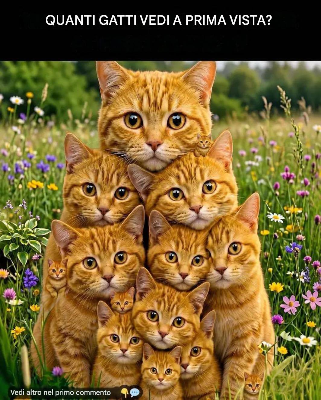 Testez votre personnalité en fonction du nombre de chats que vous pouvez repérer.