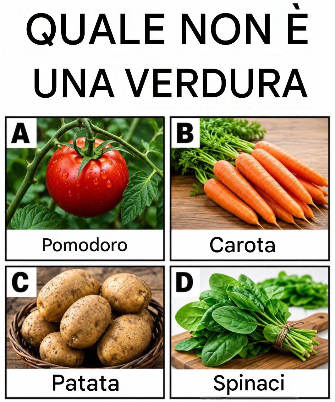 Pouvez-vous répondre à ces questions difficiles ?