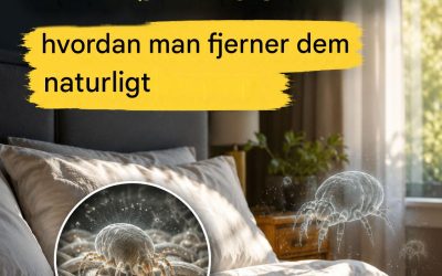 Votre lit est infesté d’acariens toxiques pour vos poumons. Voici comment les éliminer rapidement, facilement et naturellement.