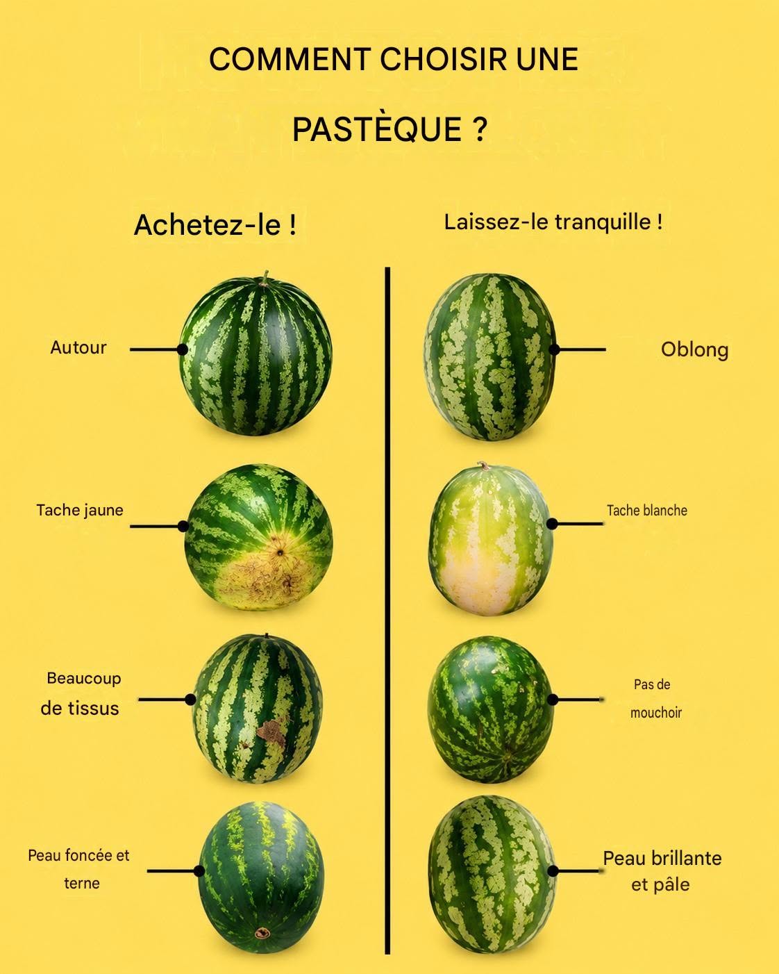 Comment choisir la pastèque la PLUS DOUCE à chaque fois