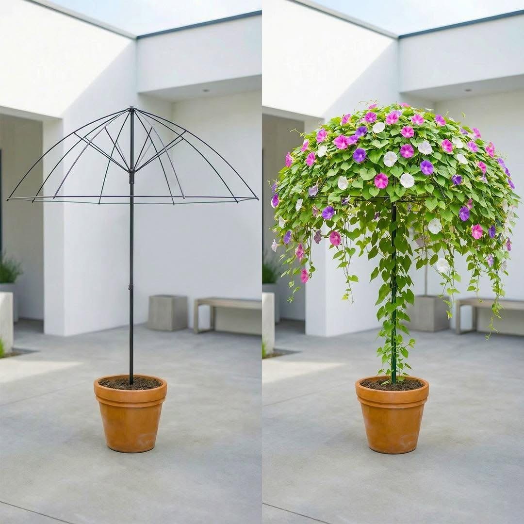 Il a transformé un parapluie cassé en un paradis fleuri : maintenant tout le monde en veut un.