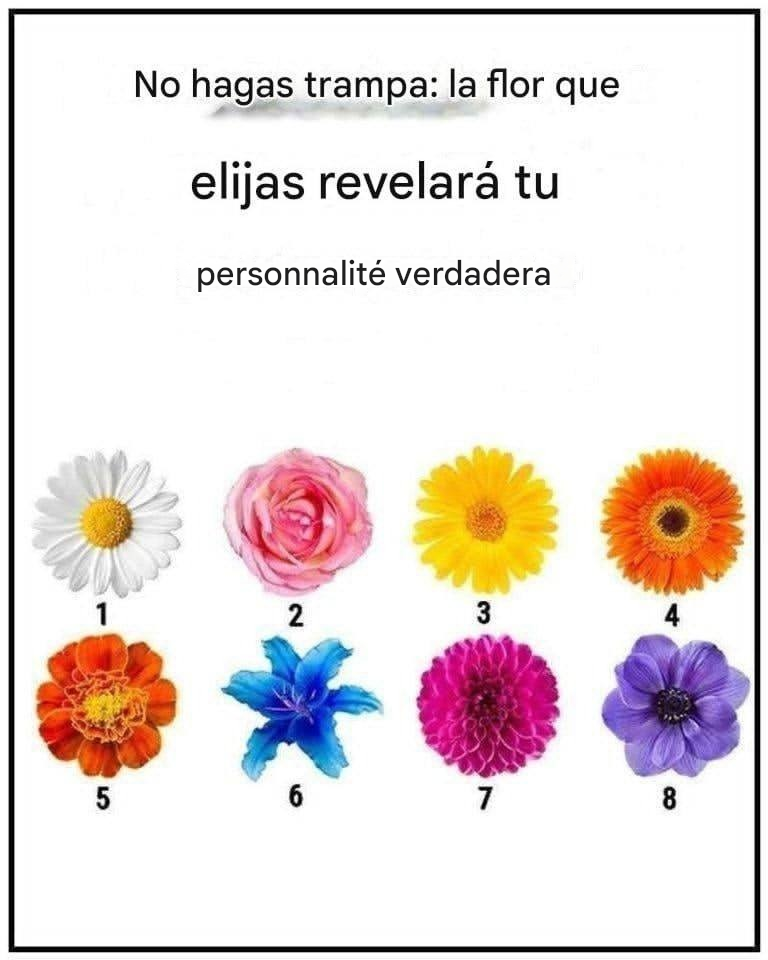 PUBLICITÉ Ne parlez pas. La fleur que vous choisirez révélera votre véritable nature.