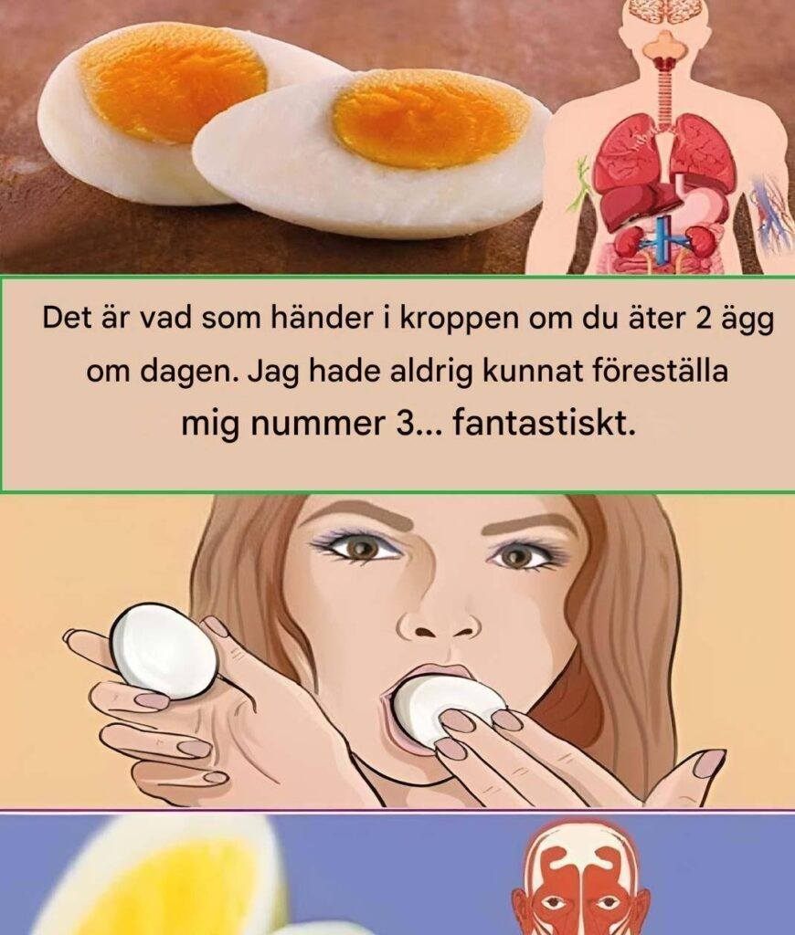 Hvad sker der med din krop, hvis du spiser to æg om dagen?