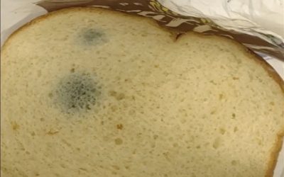 Peut-on manger du pain moisi ?
