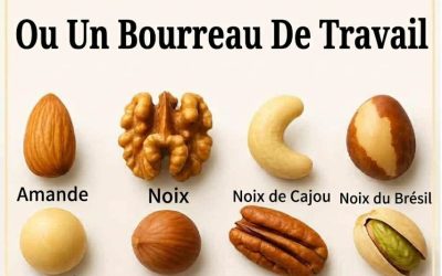 Vous êtes celle qui gère le travail de chacun sans se plaindre, une leader travailleuse, à la fois forte et humaine.  Même submergé(e) par les responsabilités, vous continuez à déplacer des montagnes pour ceux que vous aimez. Vous donnez sans compter, car la bienveillance fait partie intégrante de votre nature.  Votre style de travail est altruiste et infatigable.