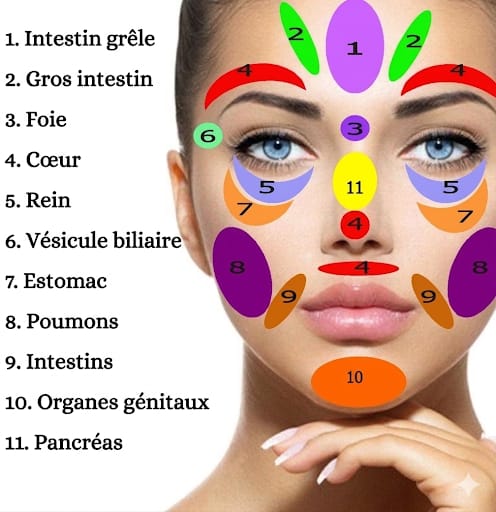 En exerçant une pression sur ces points du visage, de nombreuses douleurs peuvent être soulagées.