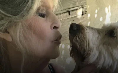 Après Brigitte Bardot : que sont devenus ses animaux ? La réponse émouvante de Bernard d’Ormale