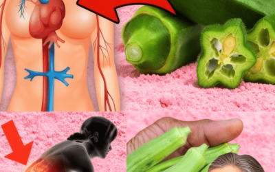 Pourquoi vos règles pourraient être le superaliment secret dont votre corps a besoin
