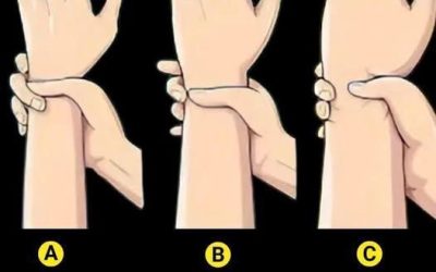 Morphologie : Êtes-vous ectomorphe, mésomorphe ou endomorphe ?