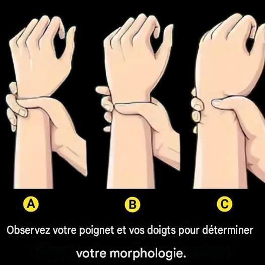 Morphologie : Êtes-vous ectomorphe, mésomorphe ou endomorphe ?