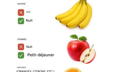C’est le moment idéal pour manger des fruits et pourquoi