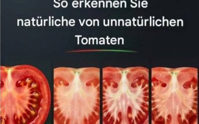 Ce que votre tomate veut vous dire